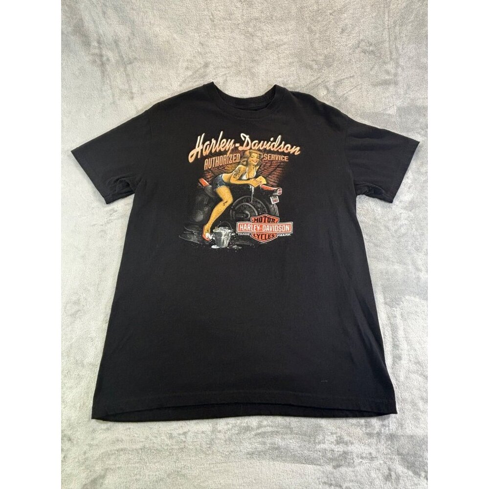 Harley Davidson shirt Men's large Cheyenne Wyoming t-shirt